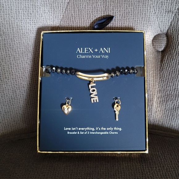 Alex and Ani "Love"❤️ Interchangeable🔄 Charm Stretch Bracelet - NIB - Picture 13 of 16